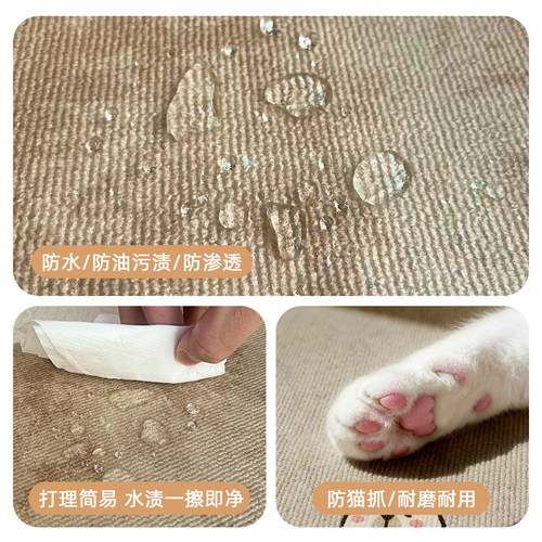 进门口地垫入户门垫专用脚垫子室内玄关地毯2025新款加厚蹭土耐脏 - 图1