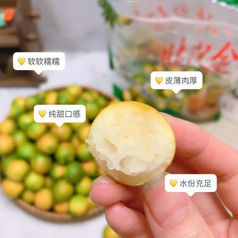 桂林脆皮金桔果园直发现摘现发新鲜水果正宗纯甜小金橘子5斤包邮