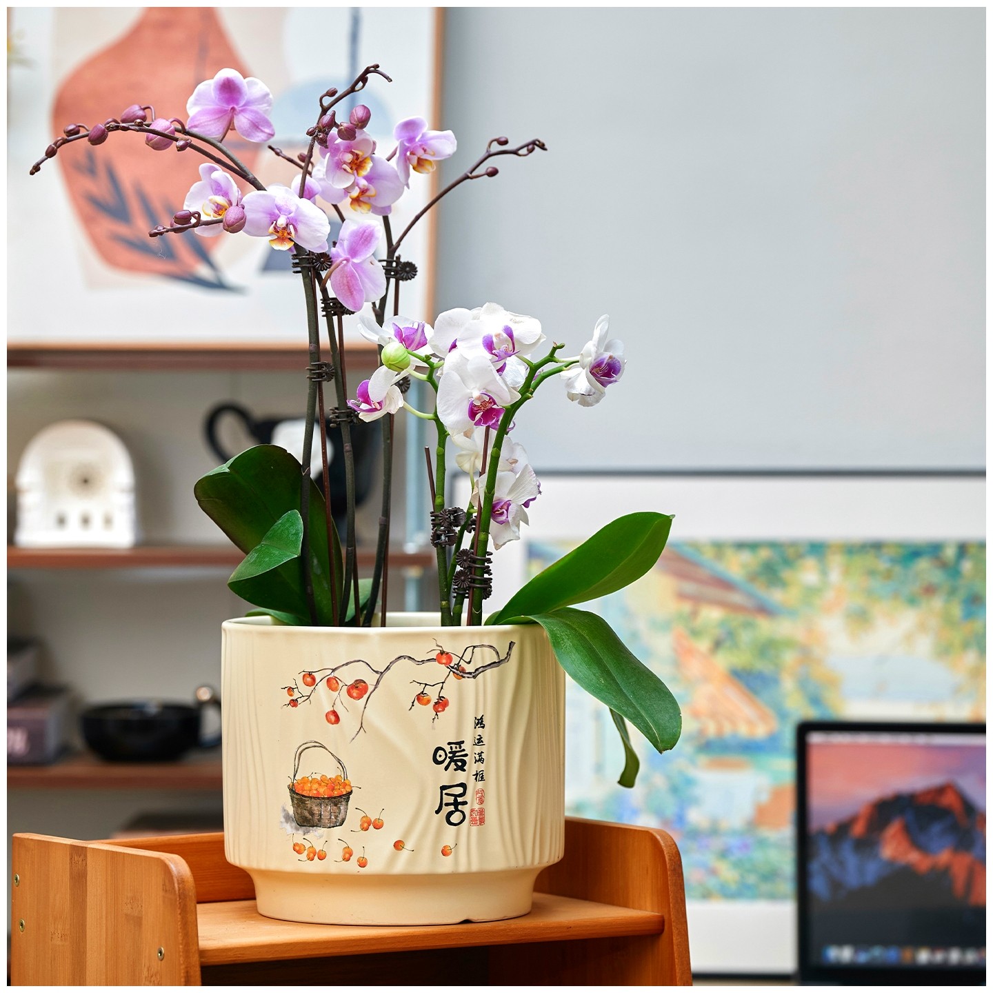 简约花盆陶瓷喜庆节日家用桌面客厅蝴蝶兰发财树杜鹃盆栽带托盘,淘宝优惠券,粉丝福利购,淘宝优惠卷