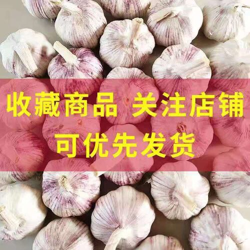 农家新干蒜5斤干大蒜河南农家紫白皮200g起新鲜蔬菜大蒜种子 - 图2