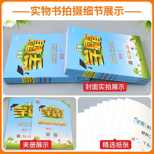 2026春五星学霸小学一年级二三四五六年级上下册语文数学英语人教北师大版经纶5星学霸提优大考卷同步练习册课时作业本同步训练-图3