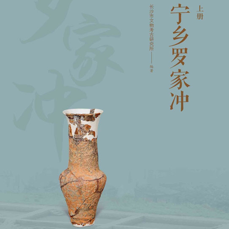 宁乡罗家冲:全二册