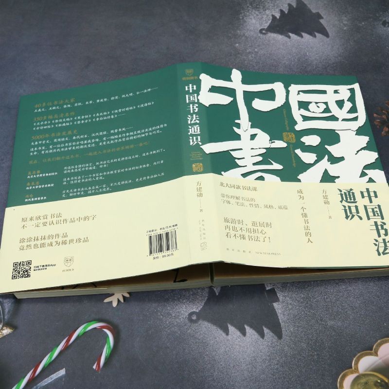 正版 中国书法通识 方建勋北大爆款书法课同款 六度书法理论书体笔墨性情书写观念再造书法大家名作书法入门指南 练字书法发展史 - 图2