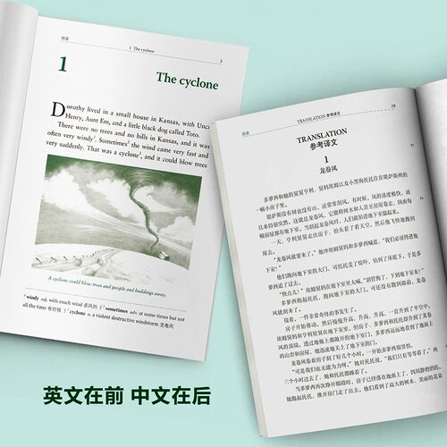 【自选】书虫升级版入门级一二三四五六级上中下系列共19套  外研社牛津英汉双语读物 初中生英语课外阅读英语书籍 新华正版包邮 - 图3