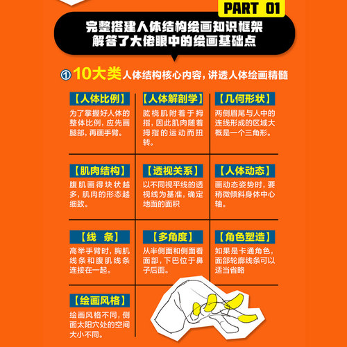 任选】人体结构绘画重点 画出自然的人体结构  三个月打败斋藤直葵：画技高效提升法 崔元喜 TACO人体 人体结构绘画教程 绘画技巧 - 图2