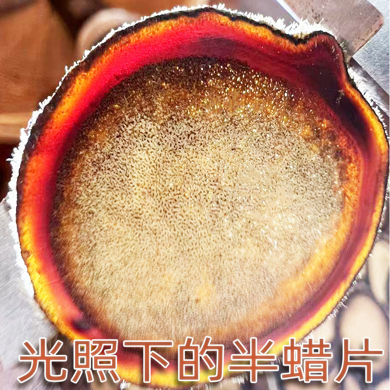 20克鹿茸片长白山吉林正品半蜡片 吉猫鹿茸片