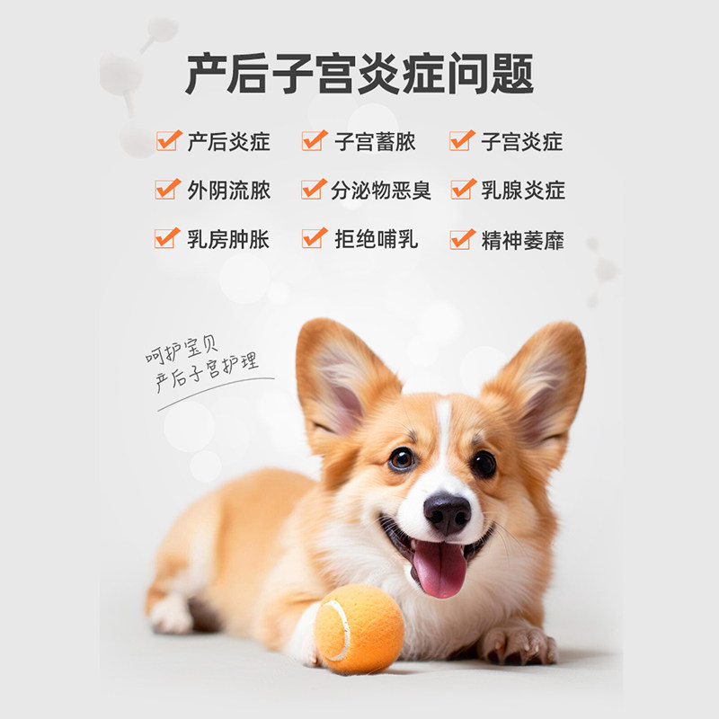 普安特宫保片母猫咪狗狗产后下奶护理宠物营养补充剂,淘宝优惠券,粉丝福利购,淘宝优惠卷