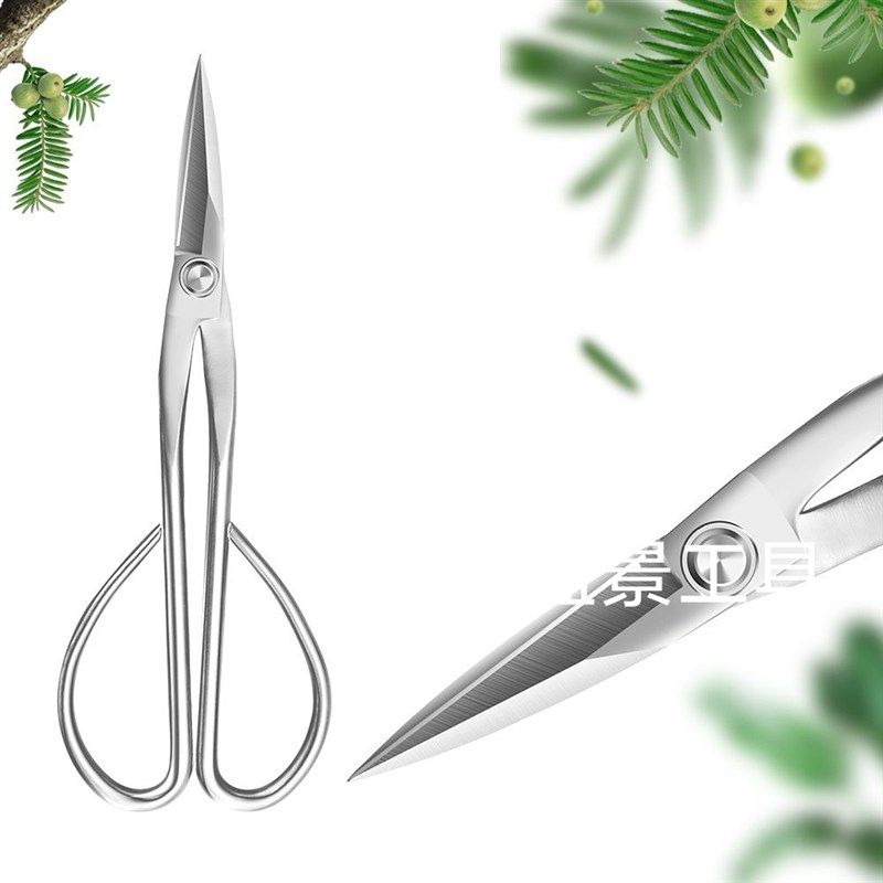 盆景修剪专用工具叶芽剪球节剪大号球形剪不锈钢园艺剪刀工具套装,淘宝优惠券,粉丝福利购,淘宝优惠卷
