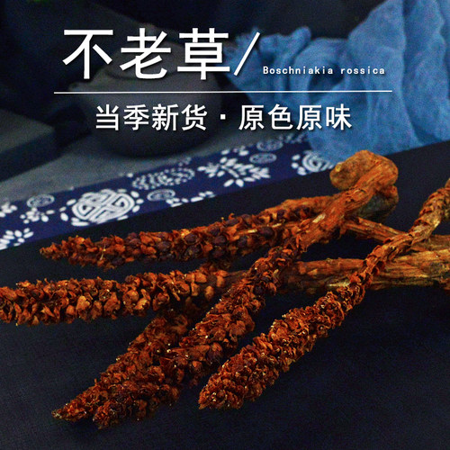 不老草中药材小药仙正品种植非野生长白山不老草粉草苁蓉干独根草 - 图1