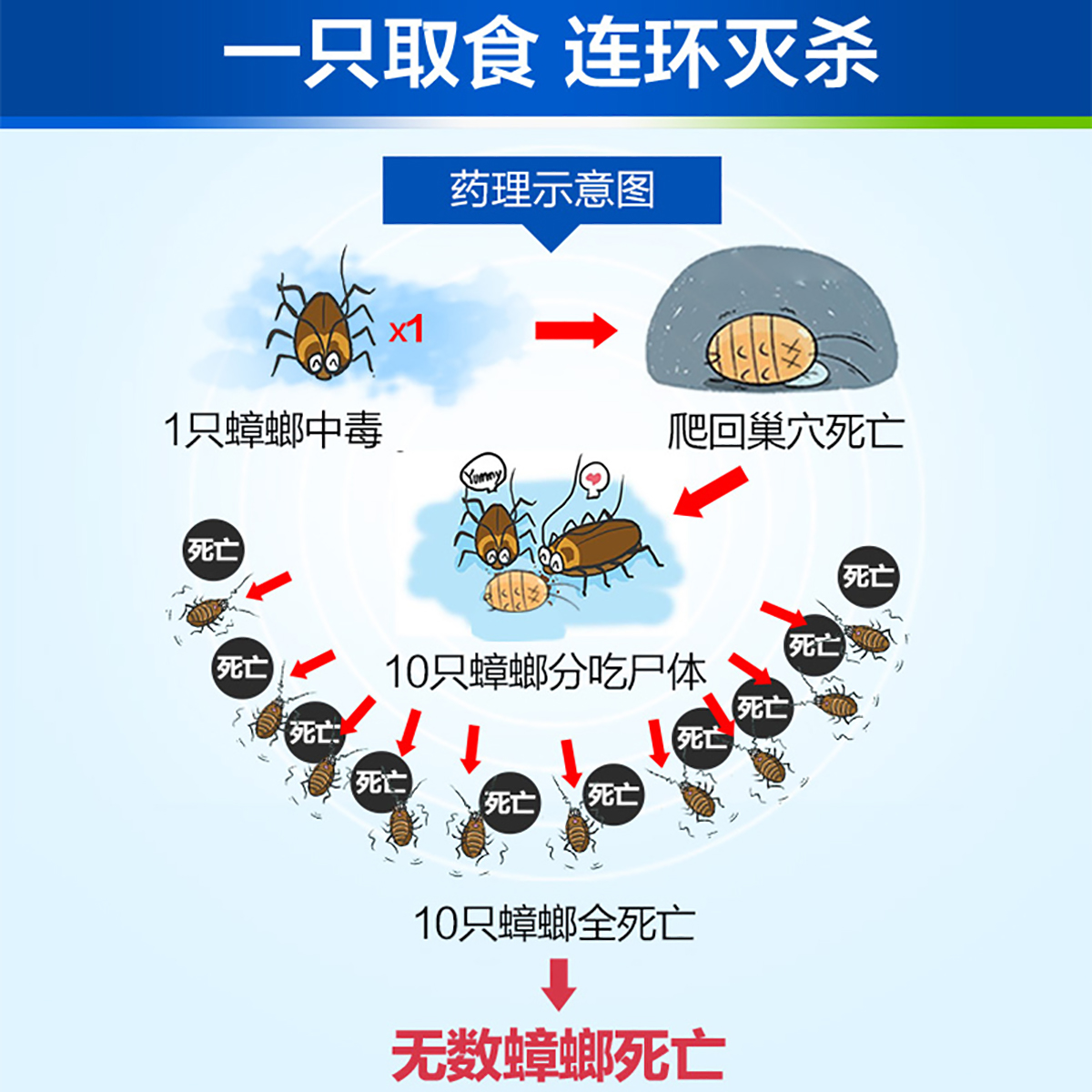 德国拜耳拜灭士蟑螂药全窝一窝端室内厨房高效非无毒家用5g*3支 - 图2