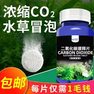 二氧化碳缓释片 新人首单立减十元 21年7月 淘宝海外