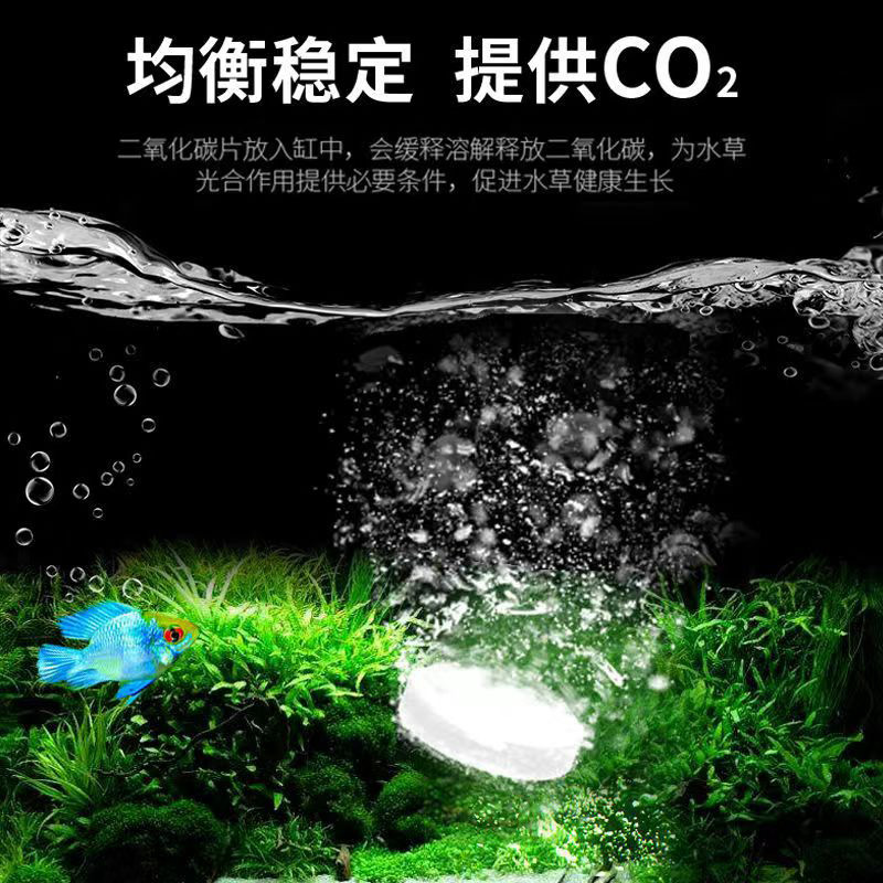 二氧化碳片鱼缸草缸专用水草黄叶藻缸CO2片发生器缓释片水族用品 - 图2