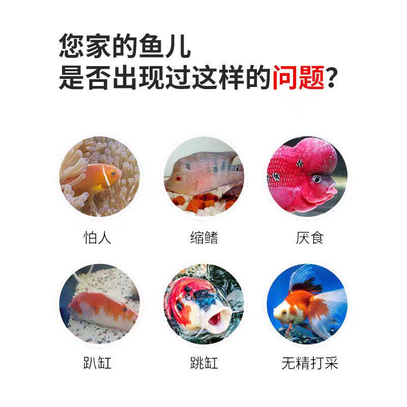 水族鱼用维生素C浓缩养鱼龟鱼缸水族箱池塘专用VC片,淘宝优惠券,粉丝福利购,淘宝优惠卷