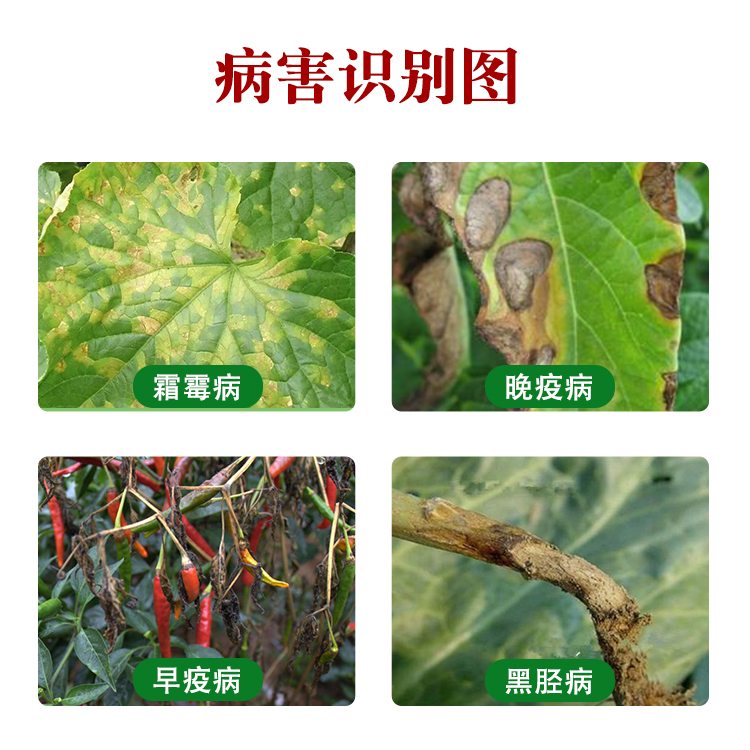 80%烯酰吗啉蔬菜果树黄瓜葡萄霜霉病黑胫病早晚疫病农药杀菌剂-图1