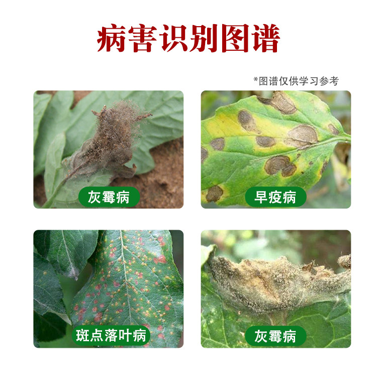 50%腐霉利 蔬菜番茄黄瓜灰霉病早疫病菌核病腐霉俐农药杀菌剂,淘宝优惠券,粉丝福利购,淘宝优惠卷