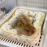 Летний универсальный водонепроницаемый кролик на четыре сезона для сна, домашний питомец, увеличенная толщина