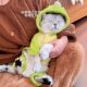 Autumn and winter thickened and warm cute dinosaur clothes for cats