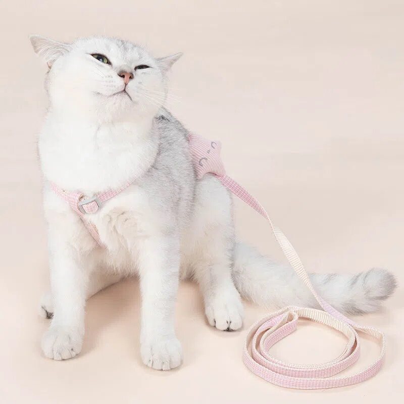 猫咪牵引绳防挣脱户外遛猫绳溜猫链子宠物狗狗卡通胸背带外出专用,淘宝优惠券,粉丝福利购,淘宝优惠卷