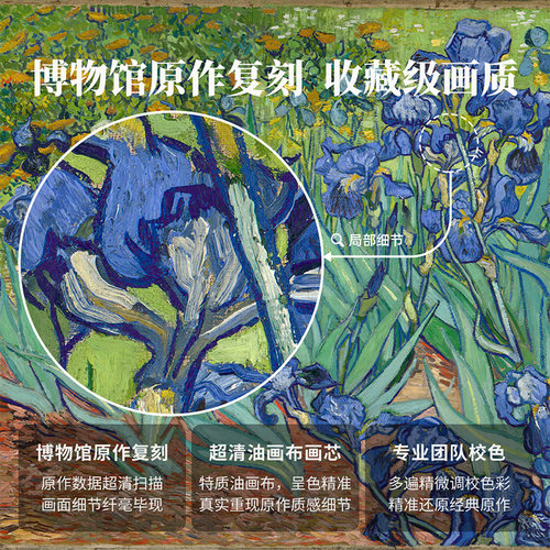 梵高-鸢尾花版画现代简约客厅装饰画玄关挂画北欧风餐厅卧室壁画 - 图3