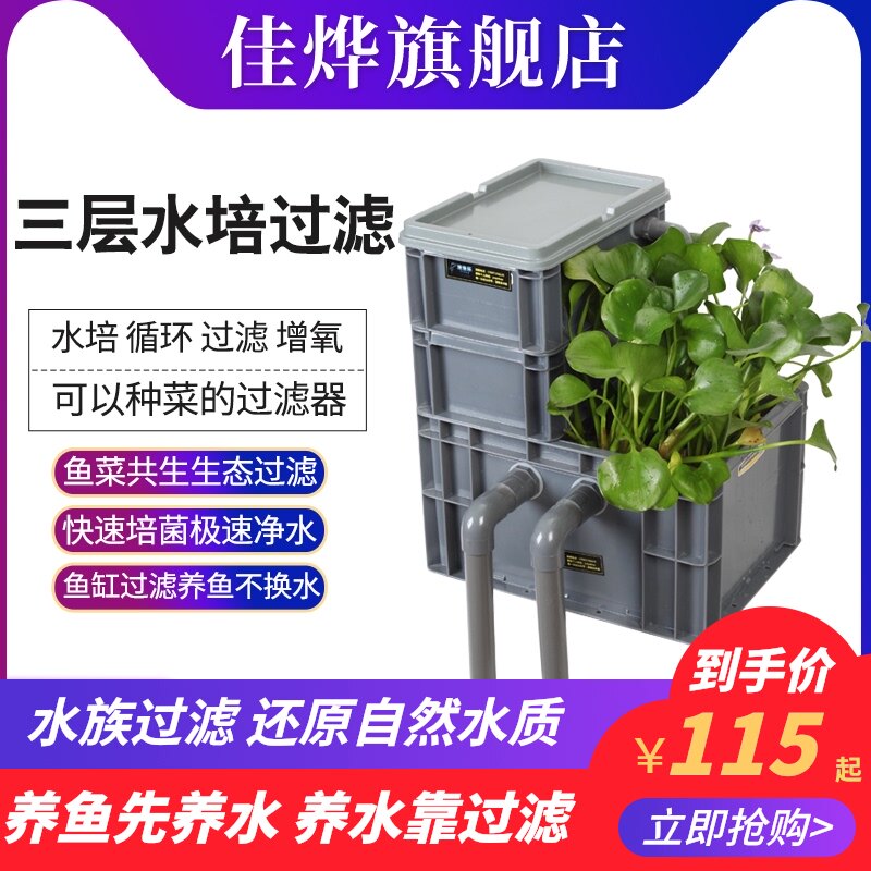 水培植物养鱼 新人首单立减十元 21年8月 淘宝海外