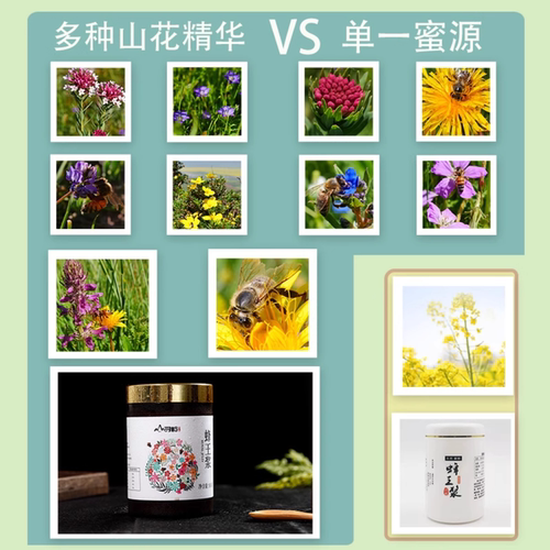 【王浆酸≥2.1】寻岭秦岭山花蜂王浆蜂乳优等低产蜂王浆官方旗舰 - 图0