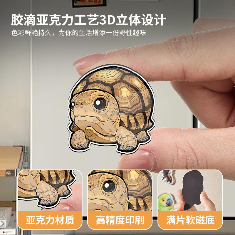 SuperRep动物星球心宽体胖类爬宠冰箱贴陆龟豹纹辐射亚达周边磁吸,淘宝优惠券,粉丝福利购,淘宝优惠卷