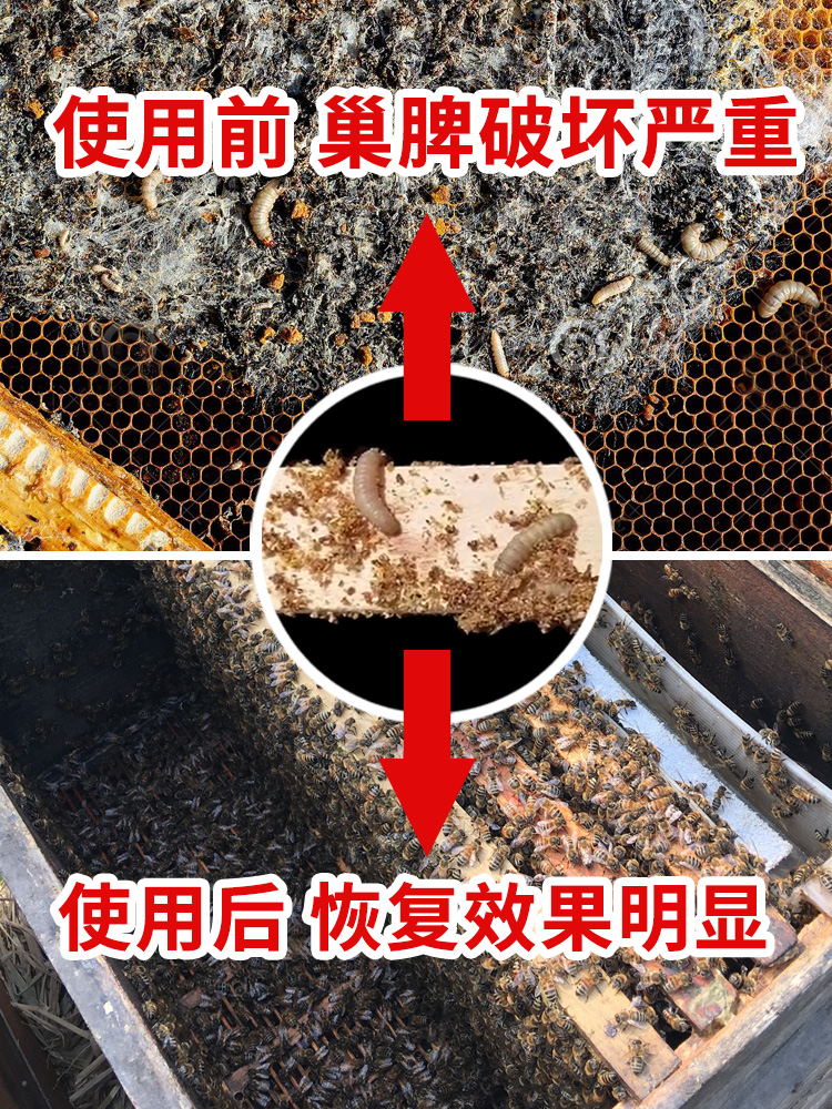 巢虫清木片中蜂专用蜜蜂防巢虫棉虫青木片养蜂工具振兴巢清正品