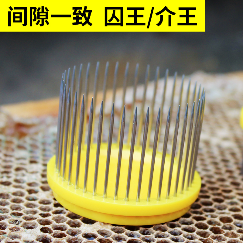 针式王笼不锈钢扣式囚王笼蜂具养蜂工具蜜蜂关王介王笼蜂大哥包邮