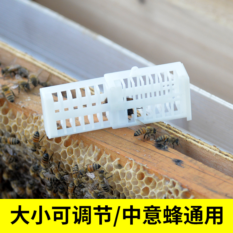 多功能囚王笼  蜜蜂塑料储王器专用峰王邮寄中意蜂养蜂工具蜂大哥