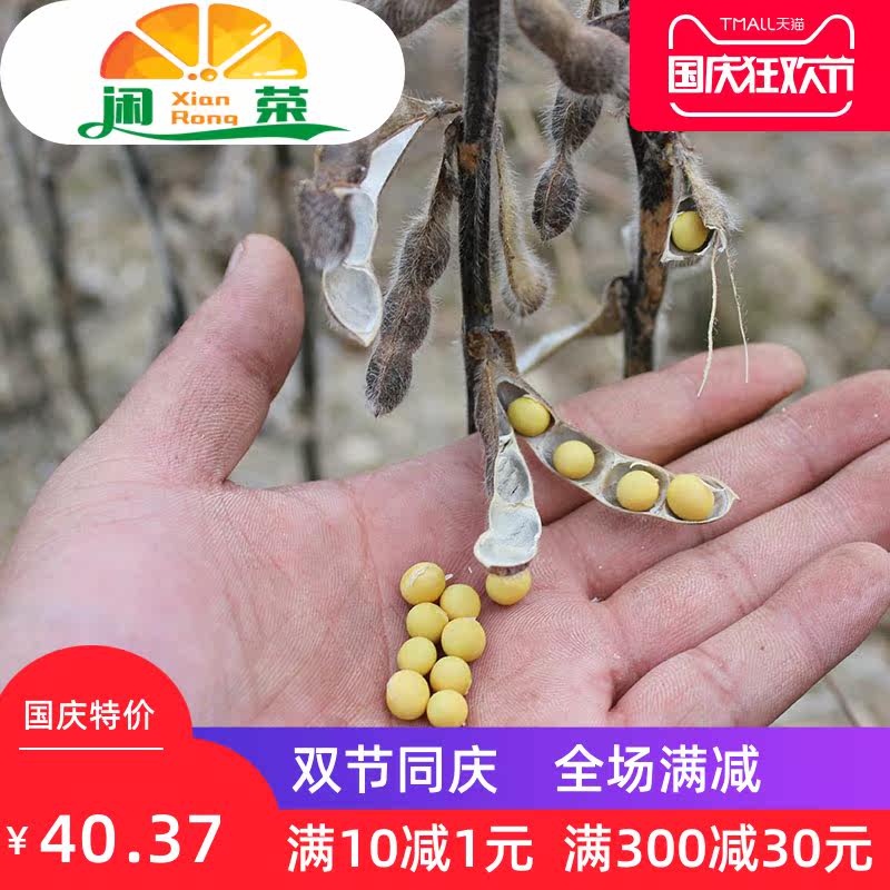 东北农家自种有机黄豆中小粒打豆浆 闲荣黄豆