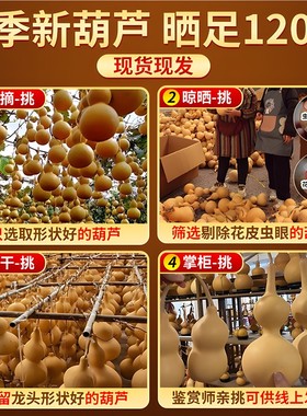 葫芦天然大号门对门挂件安宅招财摆件开口特大天然木葫芦带龙头的