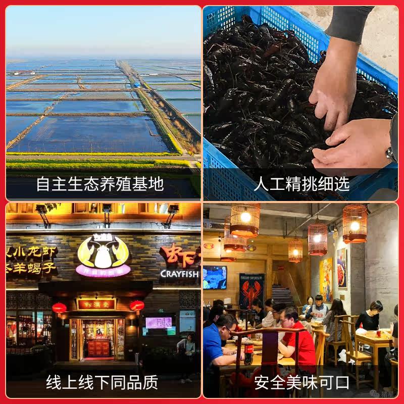 满堂4-6钱十三香麻辣盱眙小龙虾 hooot虾类制品