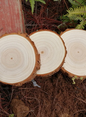 杉木DIY圆木片香炉底座树脂大木