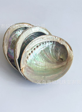 澳洲白鲍鱼壳贝壳鼠尾草圣木草杖