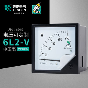 TENGEN天正电气6L2-V电压表交流直通互感指针式10KV12KV 450V500V