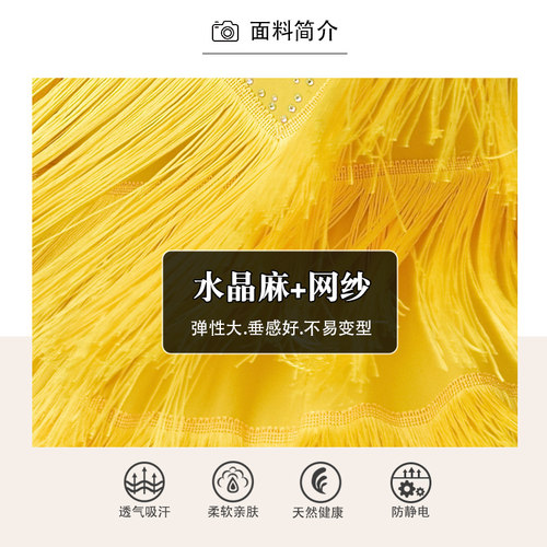 拉丁舞裙女新款国标舞恰恰舞专业比赛连衣裙团体花服流苏裙表演服 - 图3