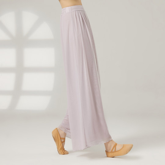 Jiwu dance pants adult female classical dance costume Chinese dance modern dance wide leg pants practice pants elegant and super fairy