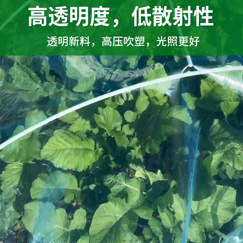 地膜种菜专用农用种植小拱棚专用膜保温膜防寒大棚塑料膜拱棚膜,淘宝优惠券,粉丝福利购,淘宝优惠卷