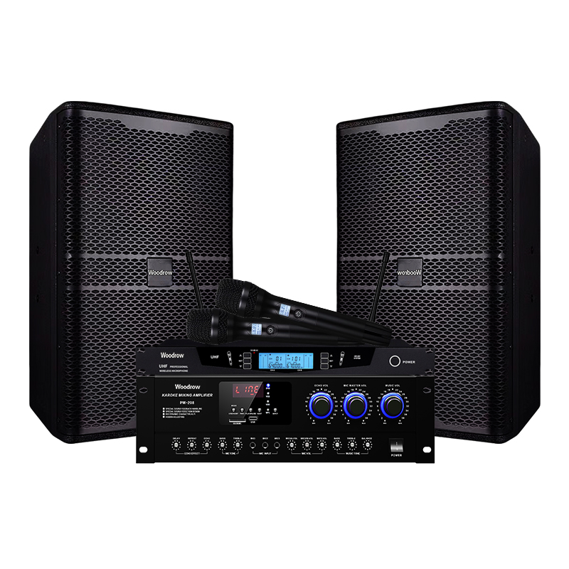 Woodrow Home KTV Audio Package