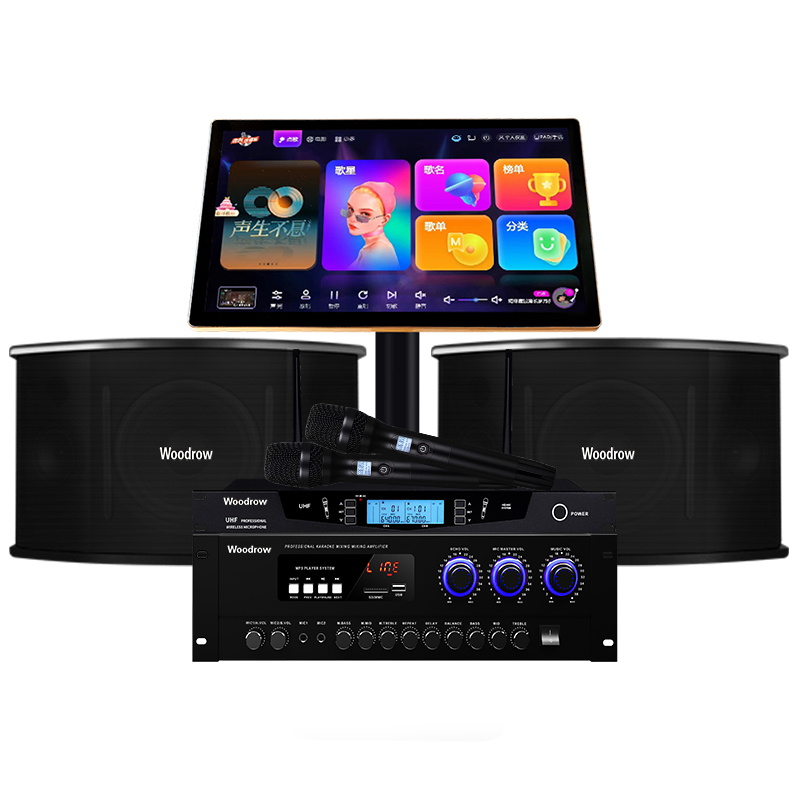 Woodrow audio karaoke machine set