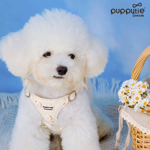 puppytie狗狗牵引绳遛狗绳可爱外出小型犬泰迪胸背带宠物用品狗链 - 图2