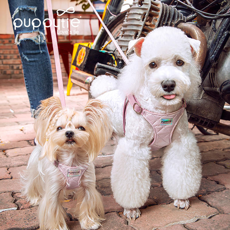 Puppytie狗狗遛狗牵引绳小型犬狗绳胸背带背心式幼犬茶杯小体泰迪 - 图1