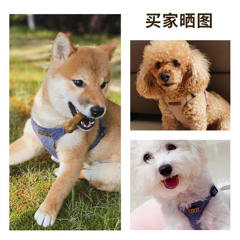 Puppytie狗狗牵引绳小型犬狗绳子遛狗绳背心式泰迪宠物胸背带定制 - 图1