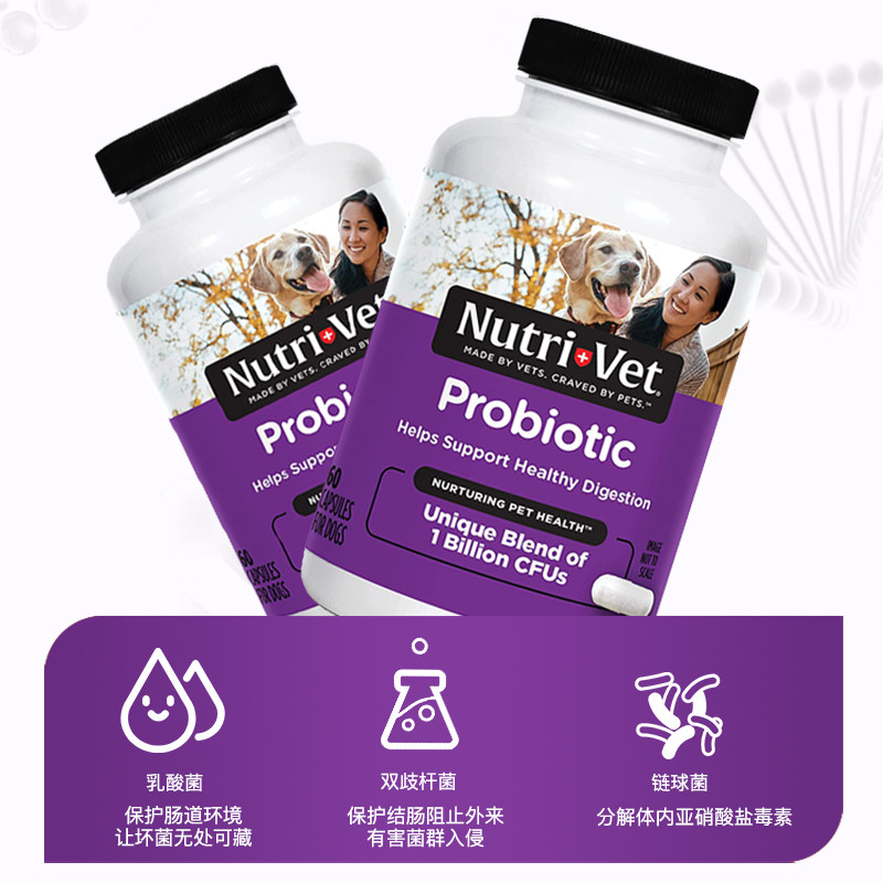 nutrivet纽益仕犬用益生菌调理狗狗 nutrivet海外狗益生菌