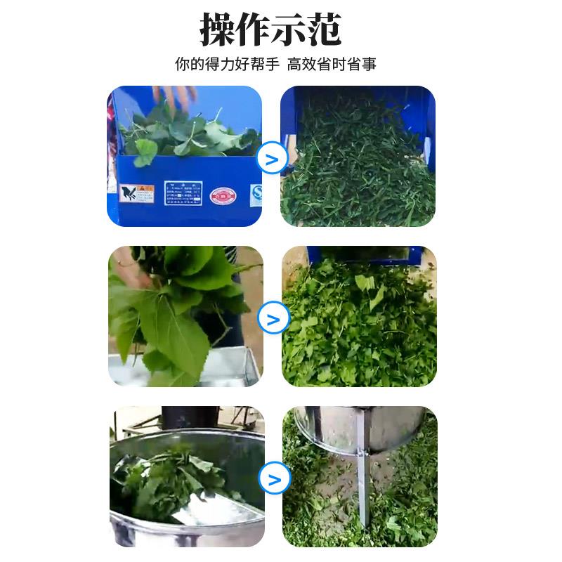 电动切桑机切桑叶机养蚕专用全自动桑叶切叶机切碎机切片桑叶机器 - 图2