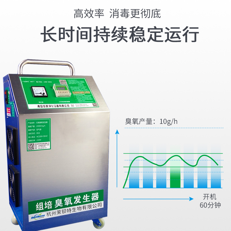 园艺用品 臭氧发生器消毒机臭氧机 10g/h 空气净化组培室环境消毒 - 图1