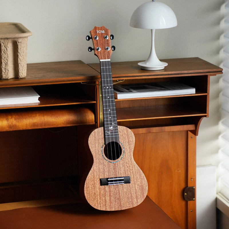  白熊乐器尤克里里/小吉他