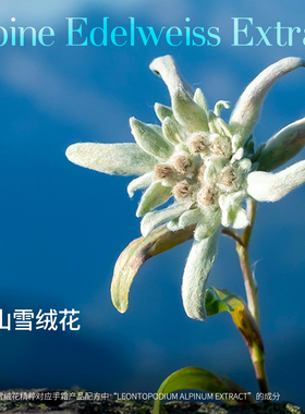 瑞士TAL手霜足霜51年专研