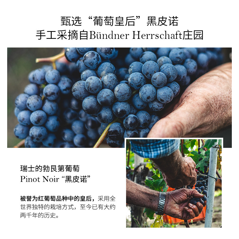 瑞士进口tal蒂爱丽手部美白护手霜 tal海外护手霜