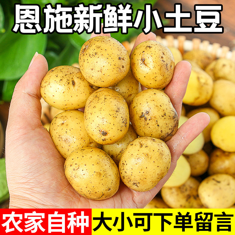 恩施小土豆现挖湖北新鲜黄心土豆5斤当季蔬菜整箱迷你马铃薯洋芋9
